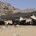 Bedouin Tent