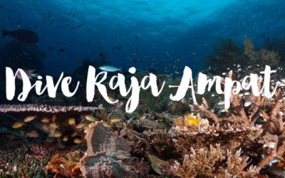 Diving Raja Ampat Liveaboard