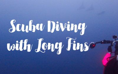 Scuba Diving with Long Fins